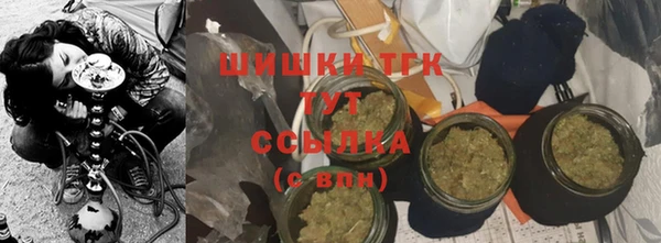 шишки Вязники